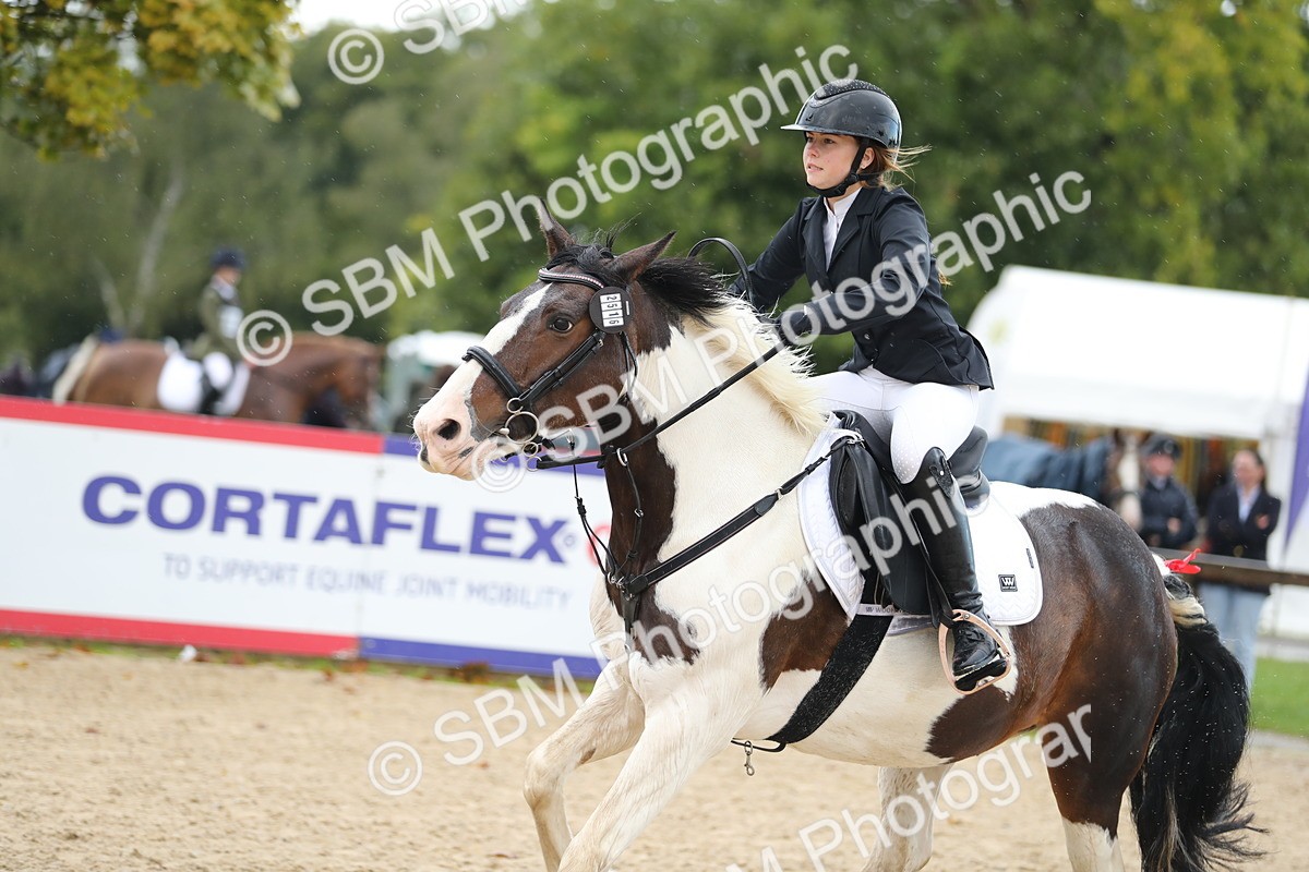 SBM_37212 - J20 - Junior Horse 50cm Championship