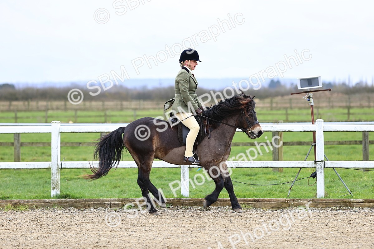 SBM_006760 - Class 29 - 30 - M&M Pure Novice Small-Large Breeds