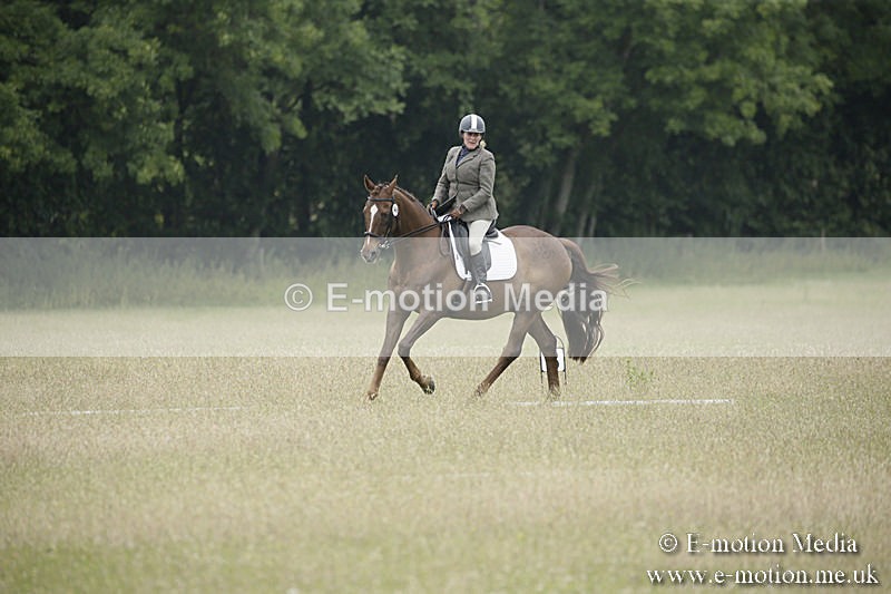 B230619-0791 - Bourne Valley Riding Club Summer Show 23/06/19