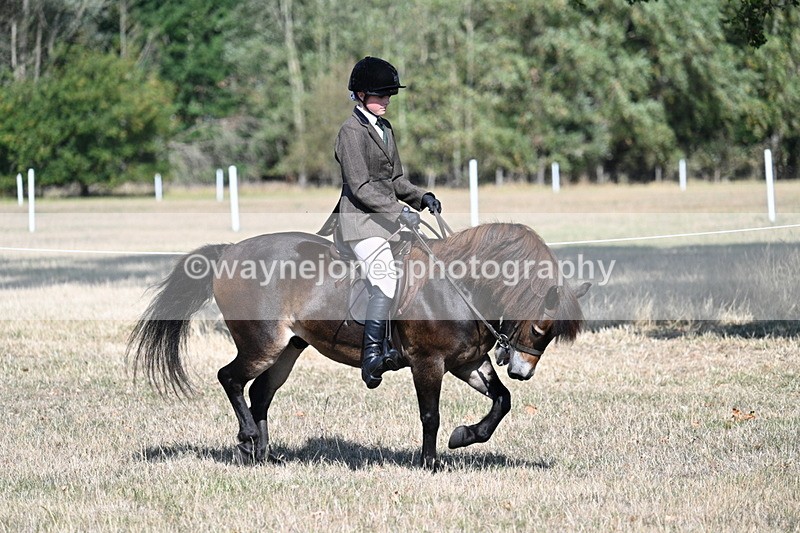 WJ7_3470 - Class 9 Mountain & Moorland Ridden