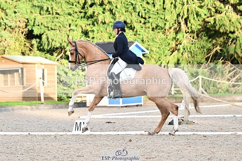 231110-153241-02233 - Cls 11 FEI PSG