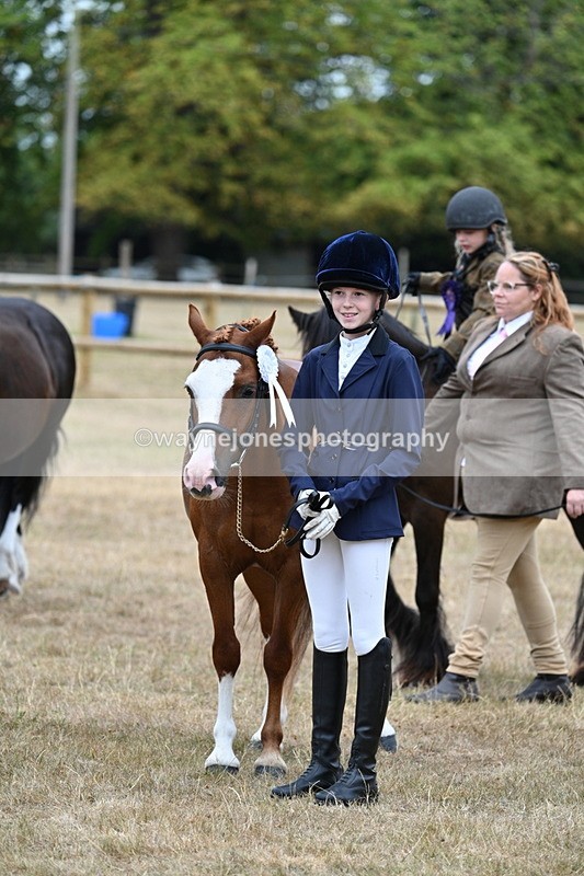 WJ7_8617 - Class 4 Prettiest Mare up to 14.2hh