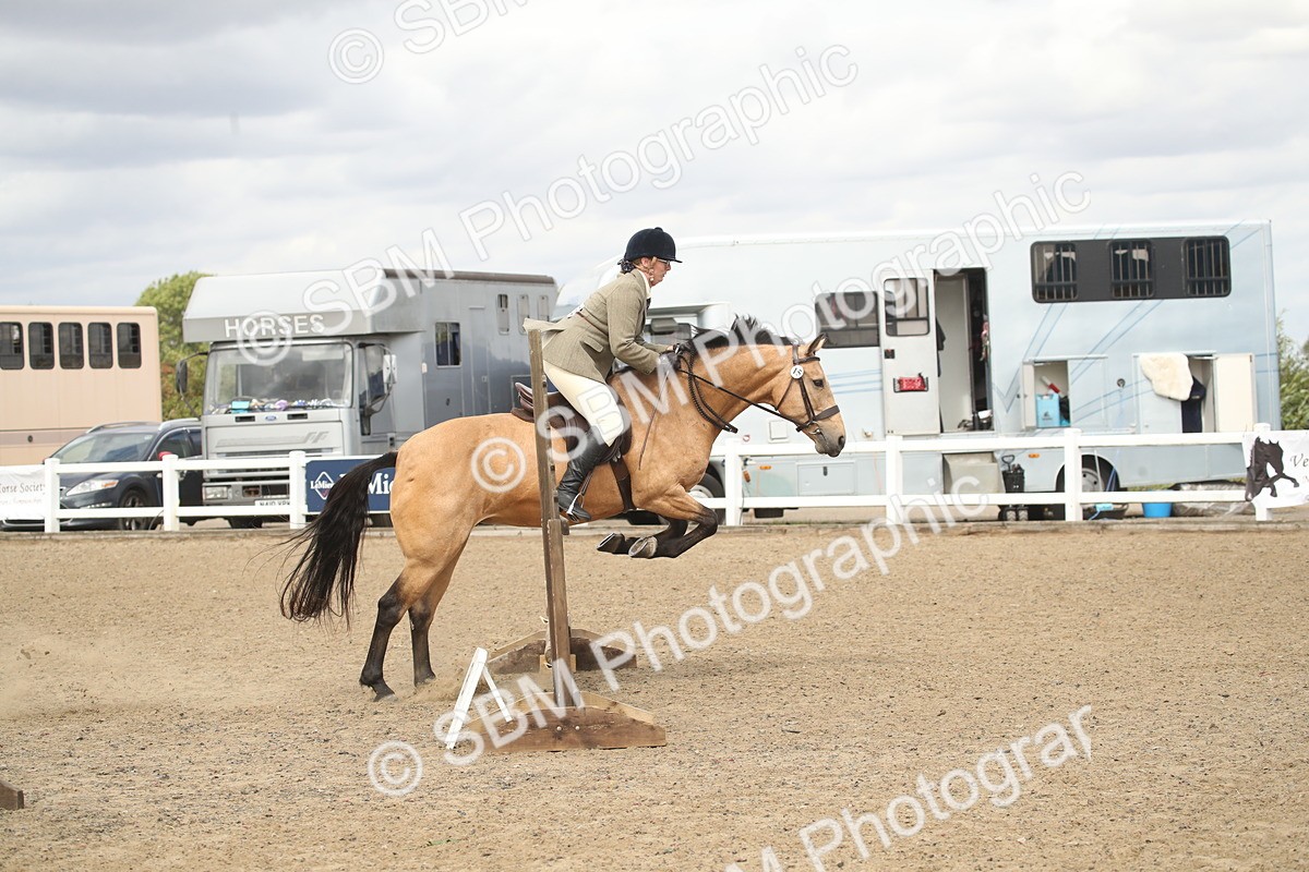 SBM_16602 - Class 507a - Working Veteran - 60cm (15-19)