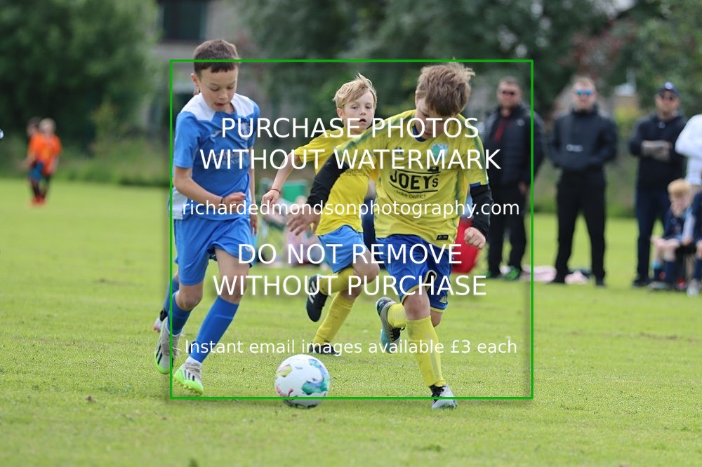 IMG_5846 - Wattsfield U9