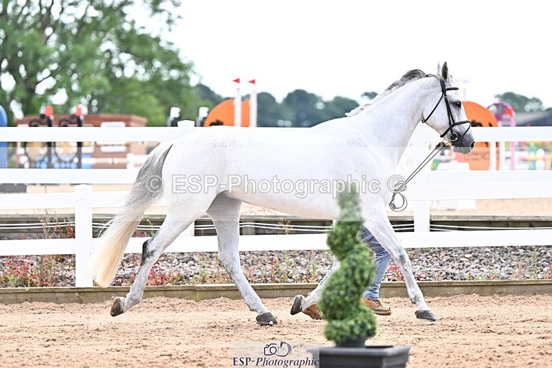 240718A-105327-02033 - Trot Up 2pm to 3pm - This folder is not in time order