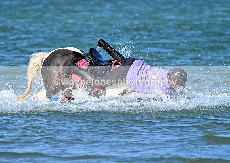 WJ7_3521_1 - Kellie & Churchill ... do Hayling Island 25-08-24