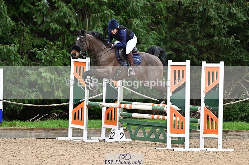 250201A-102957-00240 - Cls 01 Local Horse 90cm