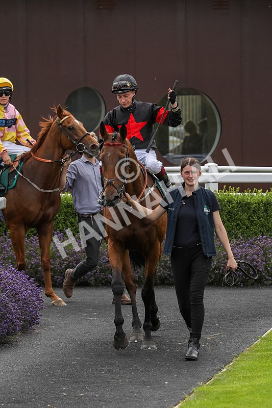 240724-Race 4-Swinging Eddie-3528 - Race 4