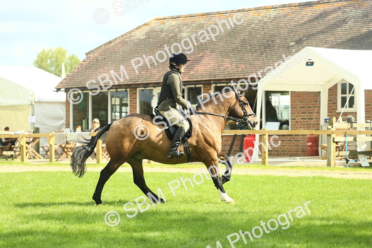 SBM_42096 - S29 - Novice & Newcomers Working Hunter Pony
