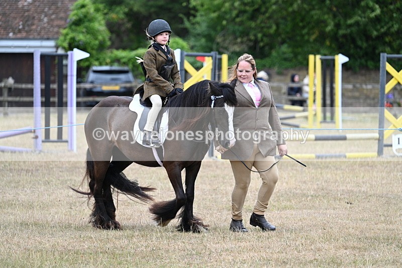 WJ7_8149 - Class 4 Prettiest Mare up to 14.2hh