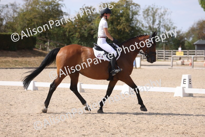20260815-1076 - Class 6 - Novice 2