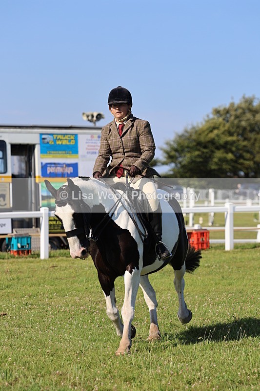 IMG_1551 - Class 30: Ridden Native/Trad Coloured Pony