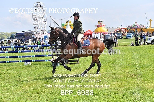 BPP_6988 - CLASS 3 RHS Fox Champ Qual (1.20m)