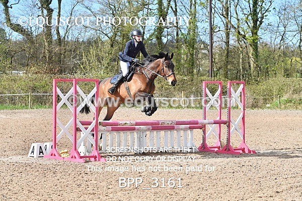 BPP_3161 - CLASS 1 Clear Round Show Jumping