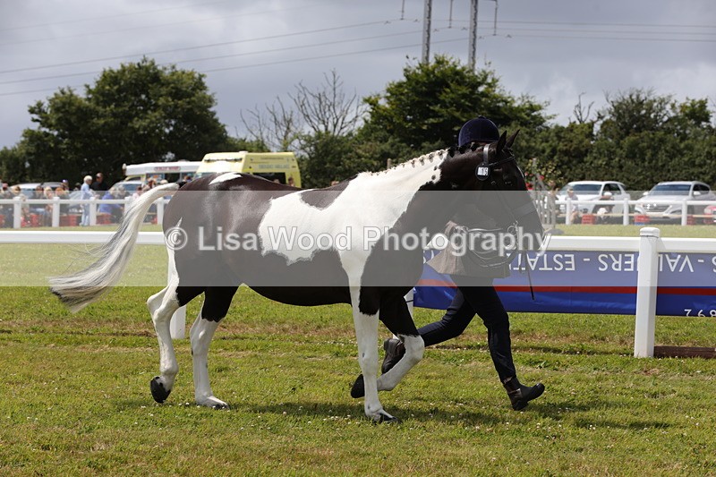 1X9A4730 - Class 35: Veteran In Hand
