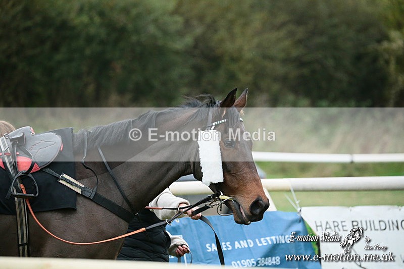 PtP 091124  239 - Knightwick Races Point-to-Point 09/11/24