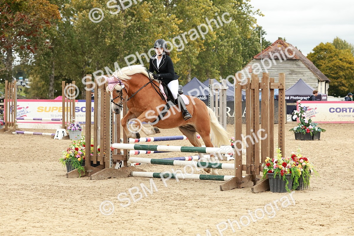 SBM_67103 - J13 - Junior Pony 60cm Championship