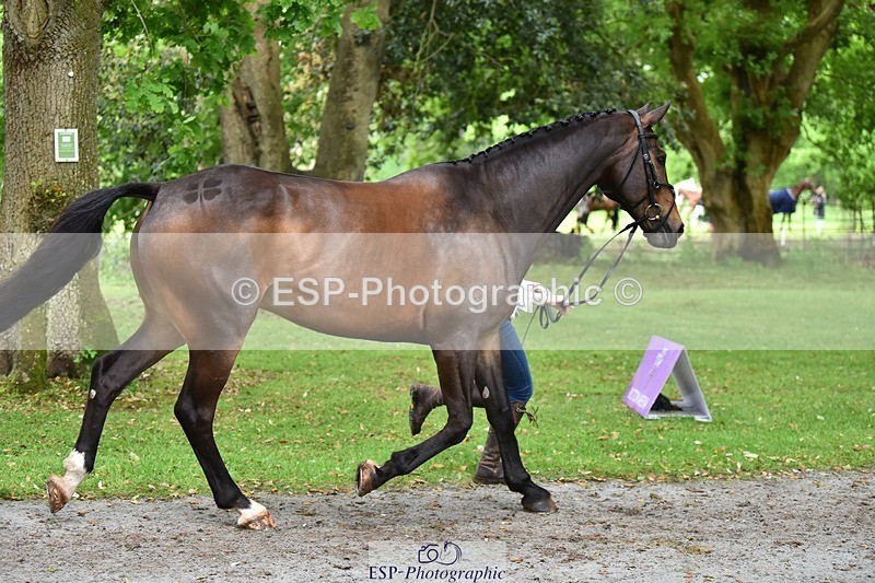 240522-171724-01507 - 259-METROPOLITAN_CLOVER-Megan_Brown