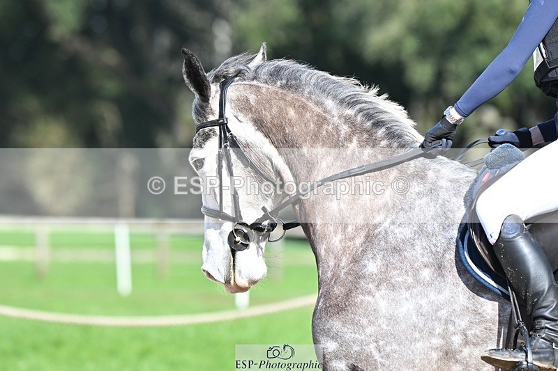 240302-124051-01011 - Cls 2 80-85cm 12.30 to End