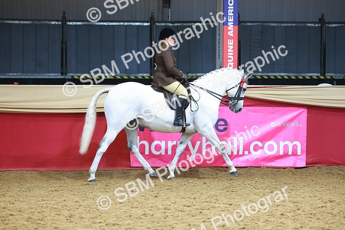 SBM_12417 - Class 103 - HOYS Veteran Qualifier - Ridden Pre Vet