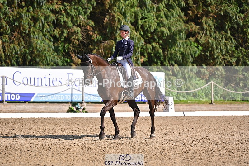 250523A-163832-08116 - B-379-Kelli.Frewin-HIDDEN.GOLD