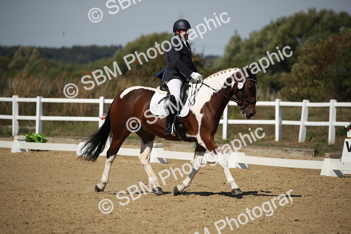 SBM_005100 - Class 11 - Novice 5 - 11.41-12.58