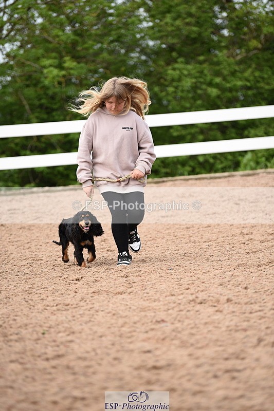 240518A-114236-00810 - Cls 2 Prettist Bitch