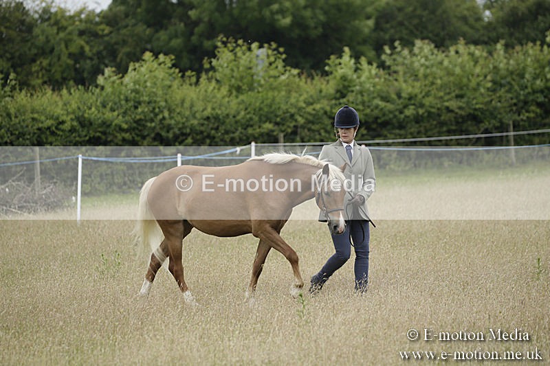 B230619-0078 - Bourne Valley Riding Club Summer Show 23/06/19