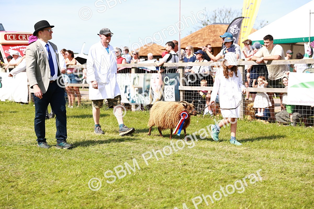 SBM_08319 - Grand Parade