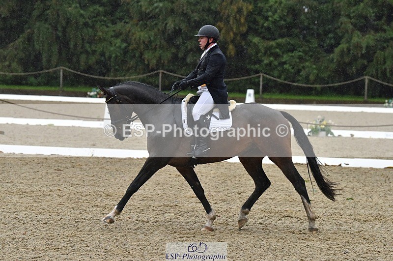 231018-153634-00829 - 011-BIG.QUERLYBET.K.Z-Paul.Whitehead-DR