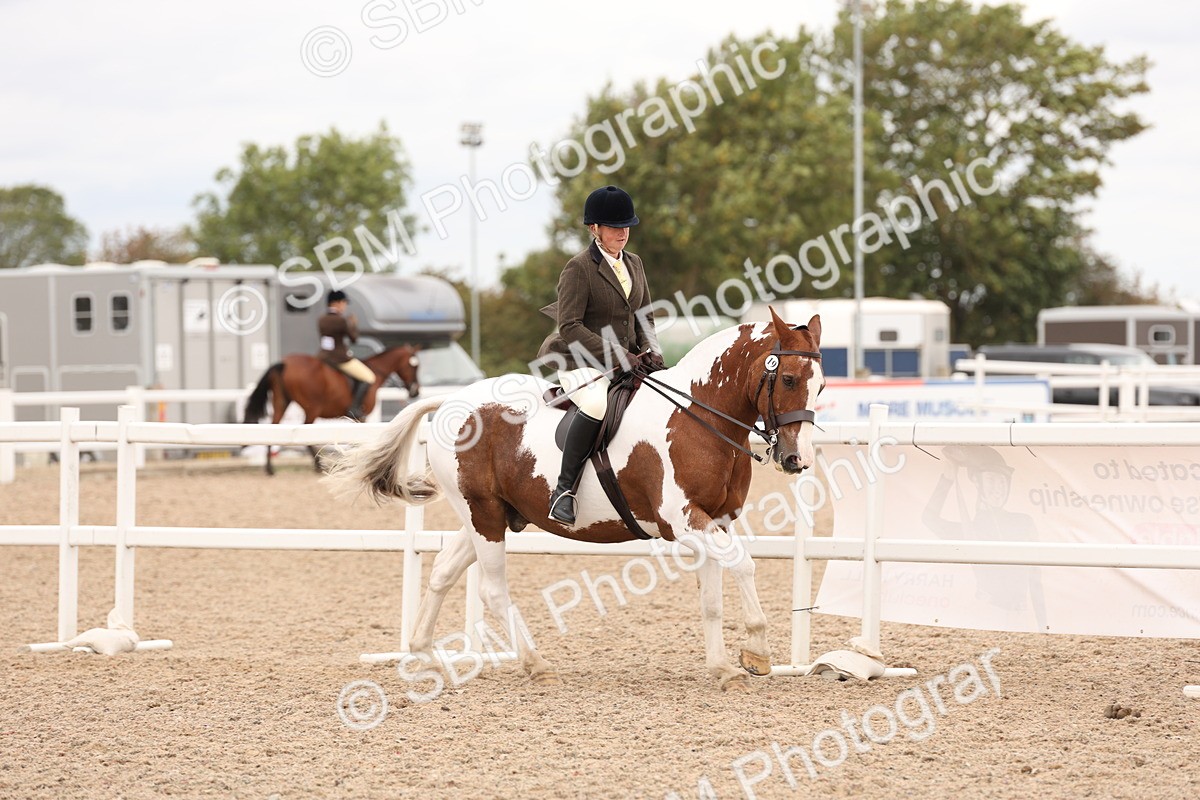 SBM_19541 - Class 215 - Ridden Show cob