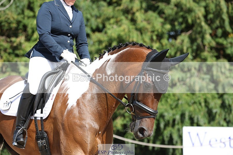 230811-153506-02474 - Cls 1 Prelim Bronze 15.00 to End