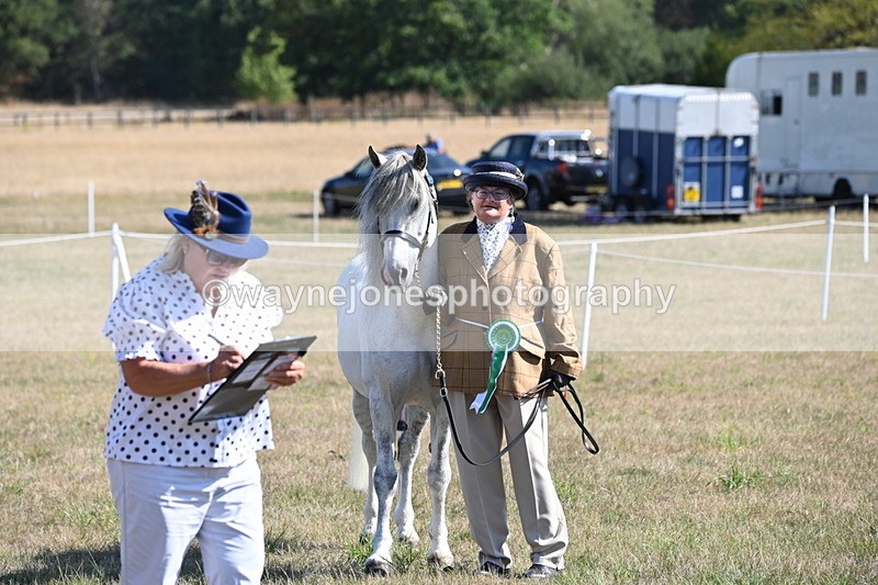 WJ6_4357 - Class 16 Condition & Turn Out