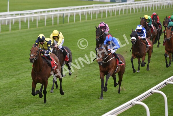 yr14052021r3-21 - Race 3 2.40pm The Matchbook Best Value Exchange Stakes