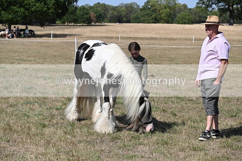 WJ6_9496 - Class 40 Cheekiest Pony/Horse