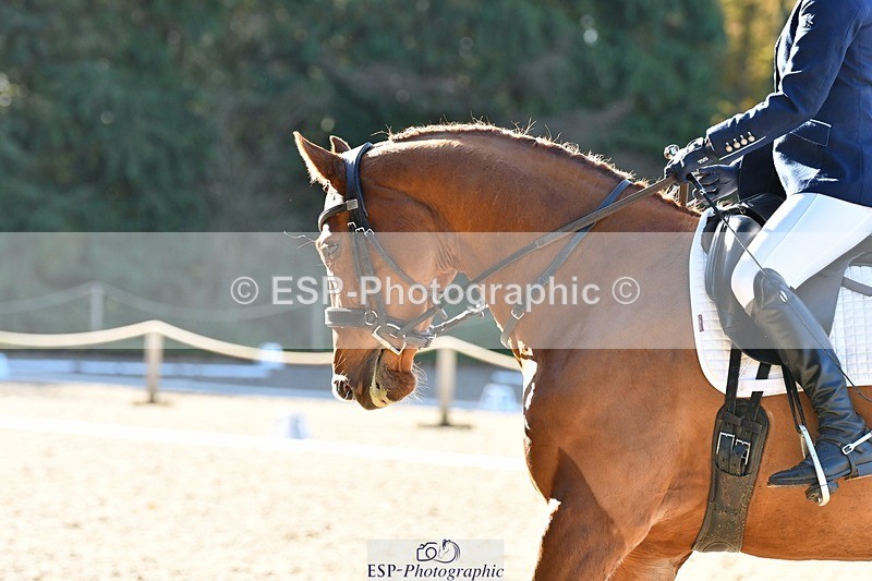 231110-120406-01345 - Cls 5 Elementary 43