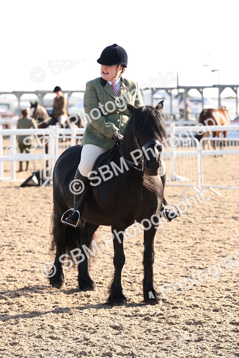 SBM_10832 - Class 202 - Best Turned Out - Ridden