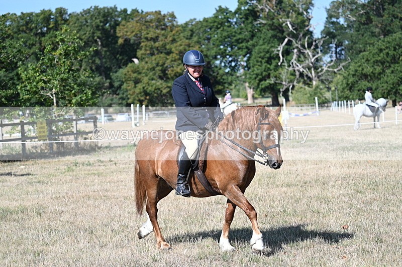 WJ7_3503 - Class 9 Mountain & Moorland Ridden