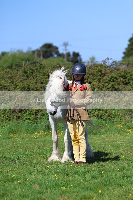 3E7A9842 - Class 17: Young Handler