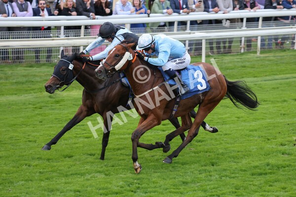 yr24092021r8-16 - Race 8 5.25pm William Hill Build Your Own Odds Apprentice Stakes