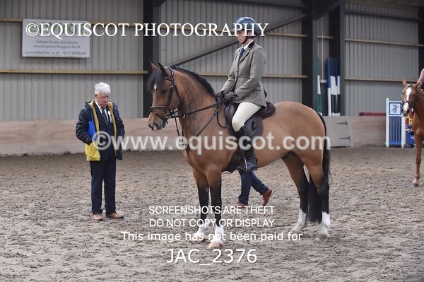 JAC_2376 - CLASS 3 Intermediate Working Hunter