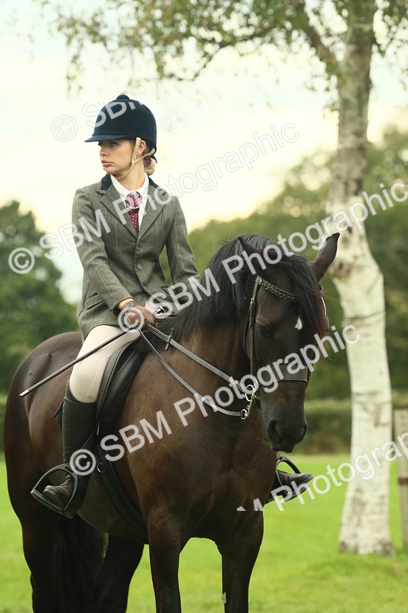 SBM_72244 - S60 - Mountain & Moorland Ridden Large Breeds