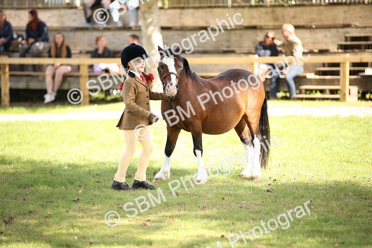 SBM_44438 - S24 - Young Veteran in hand