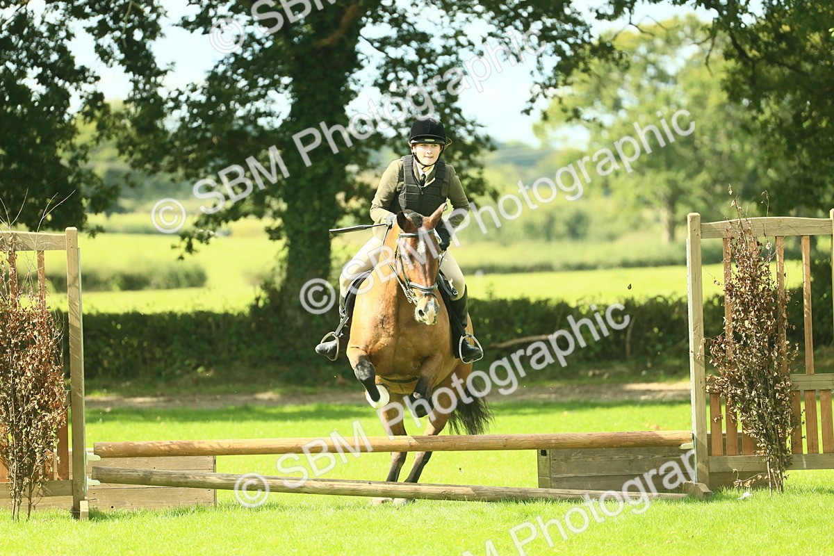 SBM_42101 - S29 - Novice & Newcomers Working Hunter Pony