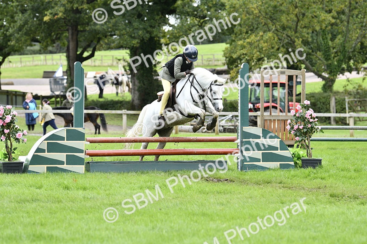 SBM_41291 - S32 - Mountain & Moorland Working Hunter Pony