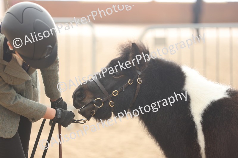 20251109-0401 - Class 15 - Coloureds