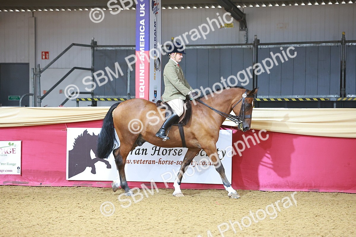 SBM_07540 - Class 101 - HOYS Veteran Qualifier - Ridden Diamond