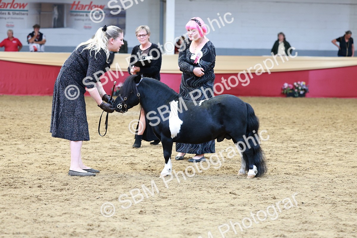 SBM_17373 - Class 951 - M&M IH Supreme Final