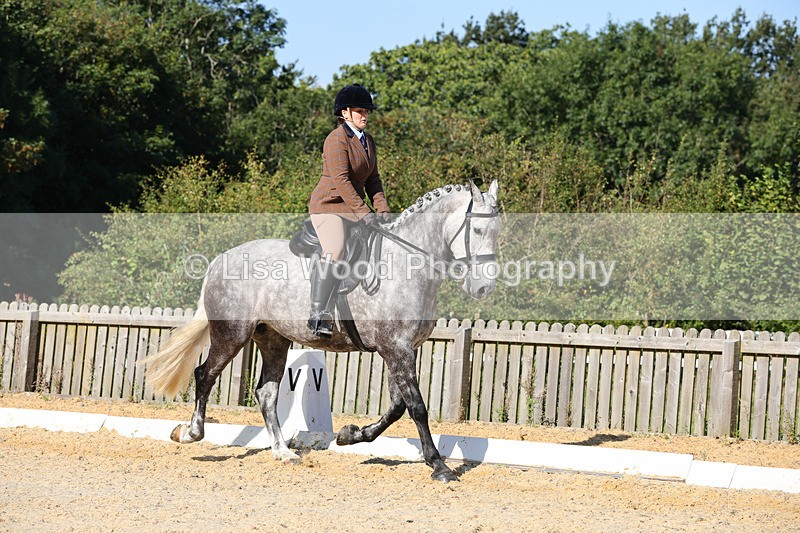 1X9A7720 - Class 9: Open Ridden Hunter