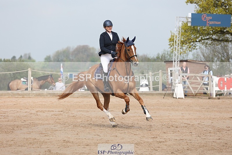 250424-105928-03337 - Cls 33 Young Horse 7yr old